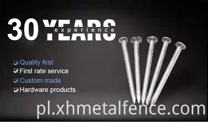 Excellent Quality Galvanized Common Nail